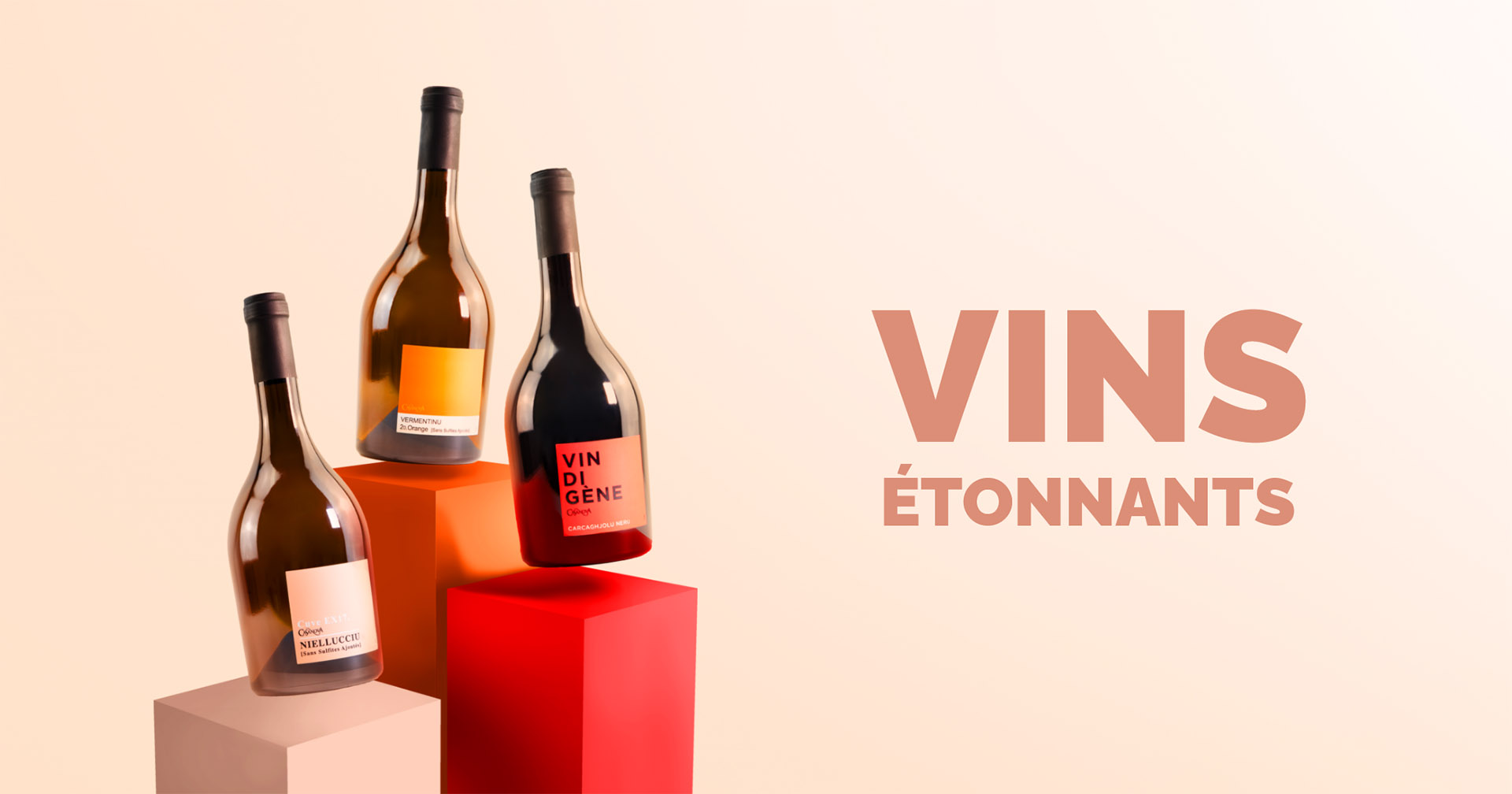 vins-etonnants Vin orange corse
